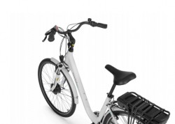 ROWER ELEKTRYCZNY ECOBIKE BASIC 28'' NEXUS 3B Greenway 36V 14,5 Ah (522 Wh)